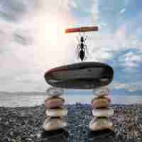 怎‍么‍建‌外​链﻿